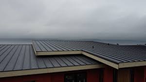 Best Green or Eco-Friendly Roofing Solutions  in Lake Stevens, WA